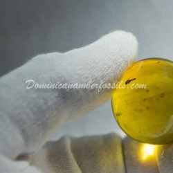 Large Clear Marble With Light Inclusions 7