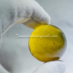 Large Clear Marble With Light Inclusions 9