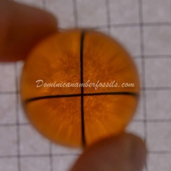 Large Crystal Clear Marble 4
