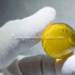 Large Marble With Some Inclusions 5