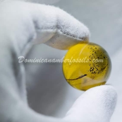 Large Marble With Some Inclusions 7