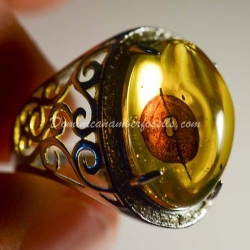 Leaf Inclusion On 925 Silver Ring 2