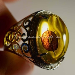 Leaf Inclusion On 925 Silver Ring 3