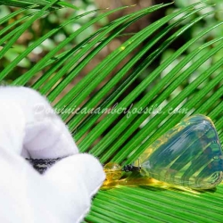 Lemon Blue Amber Pendant 4
