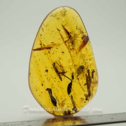 Menagerie On 34.4g Amber Piece