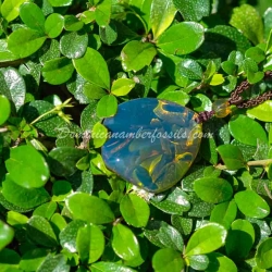 Navy Blue Amber Pendant 12