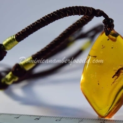 Orthoptera Inclusion Dominican Amber Pendant 10