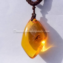 Orthoptera Inclusion Dominican Amber Pendant 2