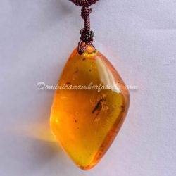 Orthoptera Inclusion Dominican Amber Pendant 3