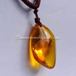 Orthoptera Inclusion Dominican Amber Pendant 4