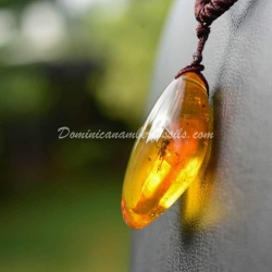 Orthoptera Inclusion Dominican Amber Pendant 5