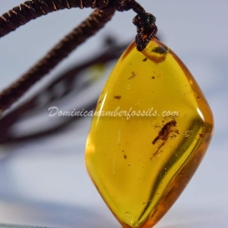 Orthoptera Inclusion Dominican Amber Pendant 9