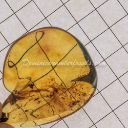 Purple Blue Dominican Amber Pendant 2