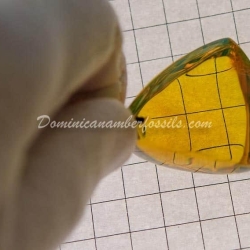 Sky Blue Dominican Amber Pendant 2