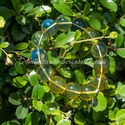 Stretching Bracelet Blue And Green 2