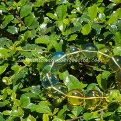 Stretching Bracelet Blue And Green 3