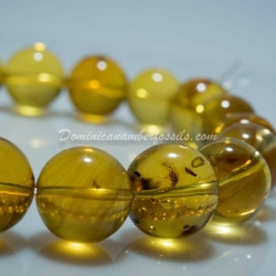 Stretching Bracelet With Fossil Beads 4