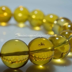 Stretching Bracelet With Fossil Beads 5