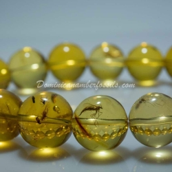 Stretching Bracelet With Fossil Beads 7