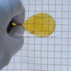 Top Quality Green Dominican Amber Pendant 12
