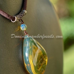 Top Quality Green Dominican Amber Pendant 6