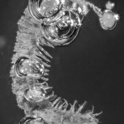 V1823 Millipede 5