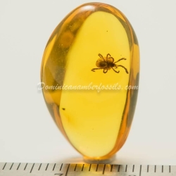 Velvet Mite Inclusion Dominican Amber 7