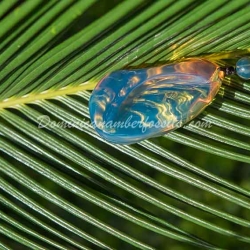 Vivid Blue Pinkish Pendant 4