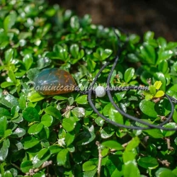 Vivid Green Amber Pendant 11