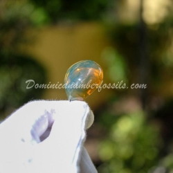 Vivid Green Amber Pendant 6